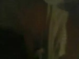 تیلور جرات گسترش اسب ...