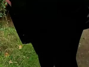 ترکی, زن و شوهر لعنت ...