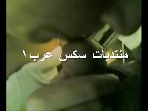 سگ ماده لیسید نوک فی ...