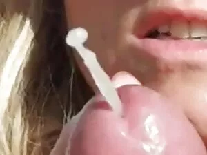 چاق, سگ ماده می عکس  ...