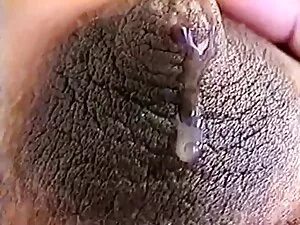 سیاه پوست با الاغ زی ...
